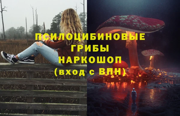 хмурый Белоозёрский