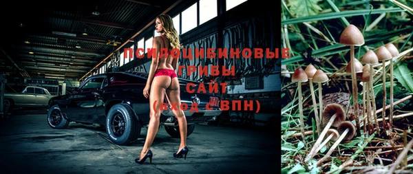 хмурый Белоозёрский