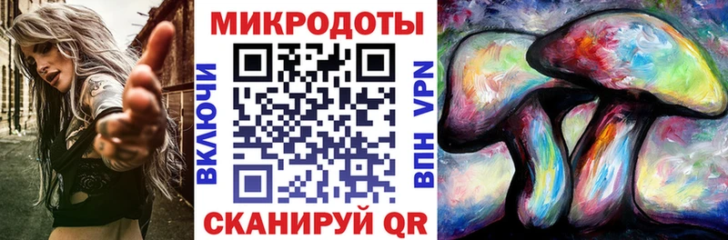Галлюциногенные грибы Psilocybine cubensis Дальнегорск