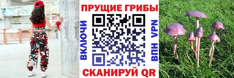 Галлюциногенные грибы MAGIC MUSHROOMS  Дальнегорск 
