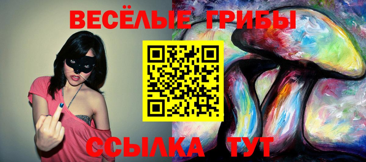 Галлюциногенные грибы Magic Shrooms  Дальнегорск  Псилоцибиновые грибы мухоморы 