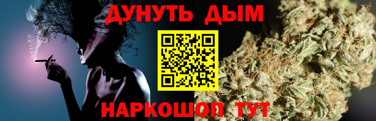 Канабис сатива Дальнегорск